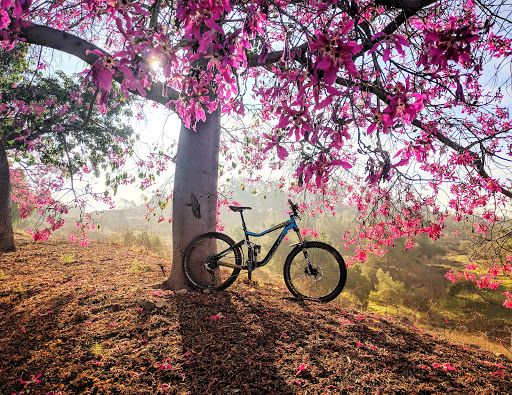 Bonelli Bluffs RV Resort & Campground image