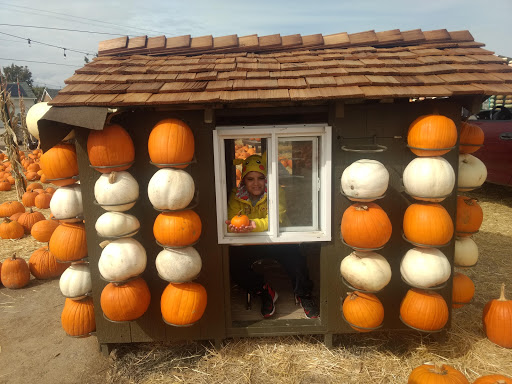 Produce Market «Kuwahara Farms», reviews and photos, 736 12300 S, Draper, UT 84020, USA