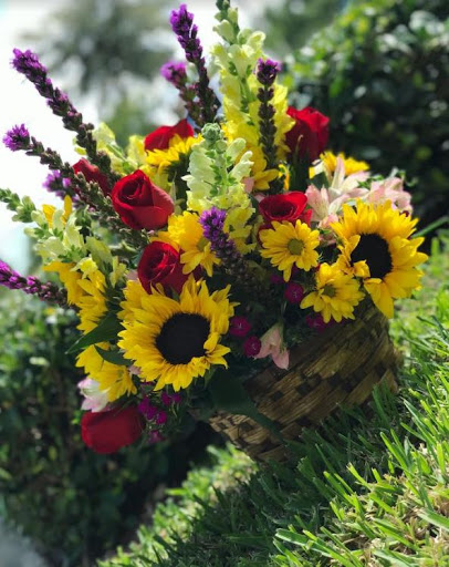 Florist «Flower Market», reviews and photos, 5851 Wiles Rd, Coral Springs, FL 33067, USA