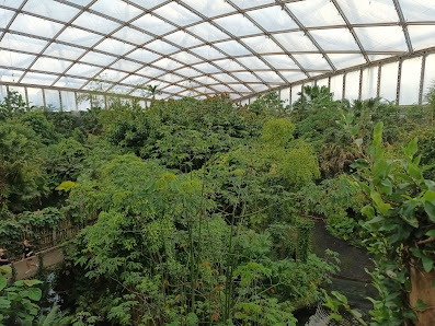 Hebamme Susan Hofmann Dorfstraße 43, 01990 Großkmehlen, Deutschland