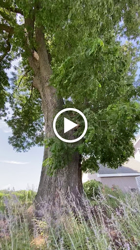 Vineyard «Cascia Vineyards & Winery», reviews and photos, 1200 Thompson Creek Rd, Stevensville, MD 21666, USA