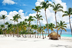 Bavaro II Plajı'in fotoğrafı kısmen otel alanı