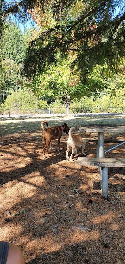 Sunnyside Off-Leash Dog Park