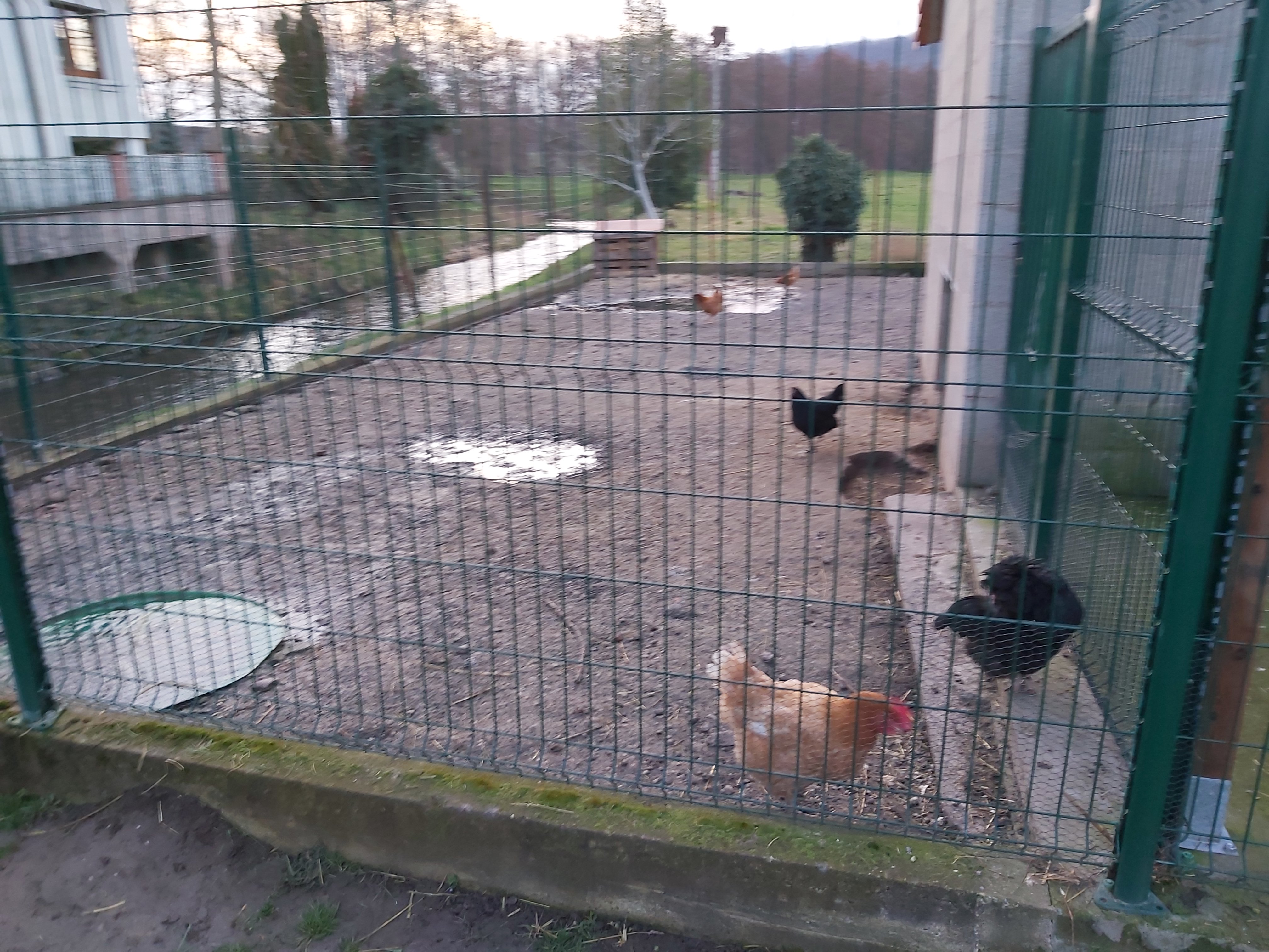 Photo n° 4 de l'avis de Adr67. fait le 15/02/2020 à 16:44