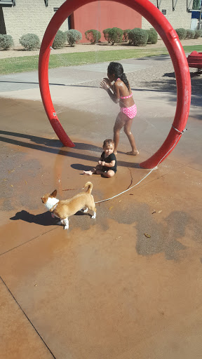 Park «Jaycee Park», reviews and photos, 817 W 5th St, Tempe, AZ 85281, USA