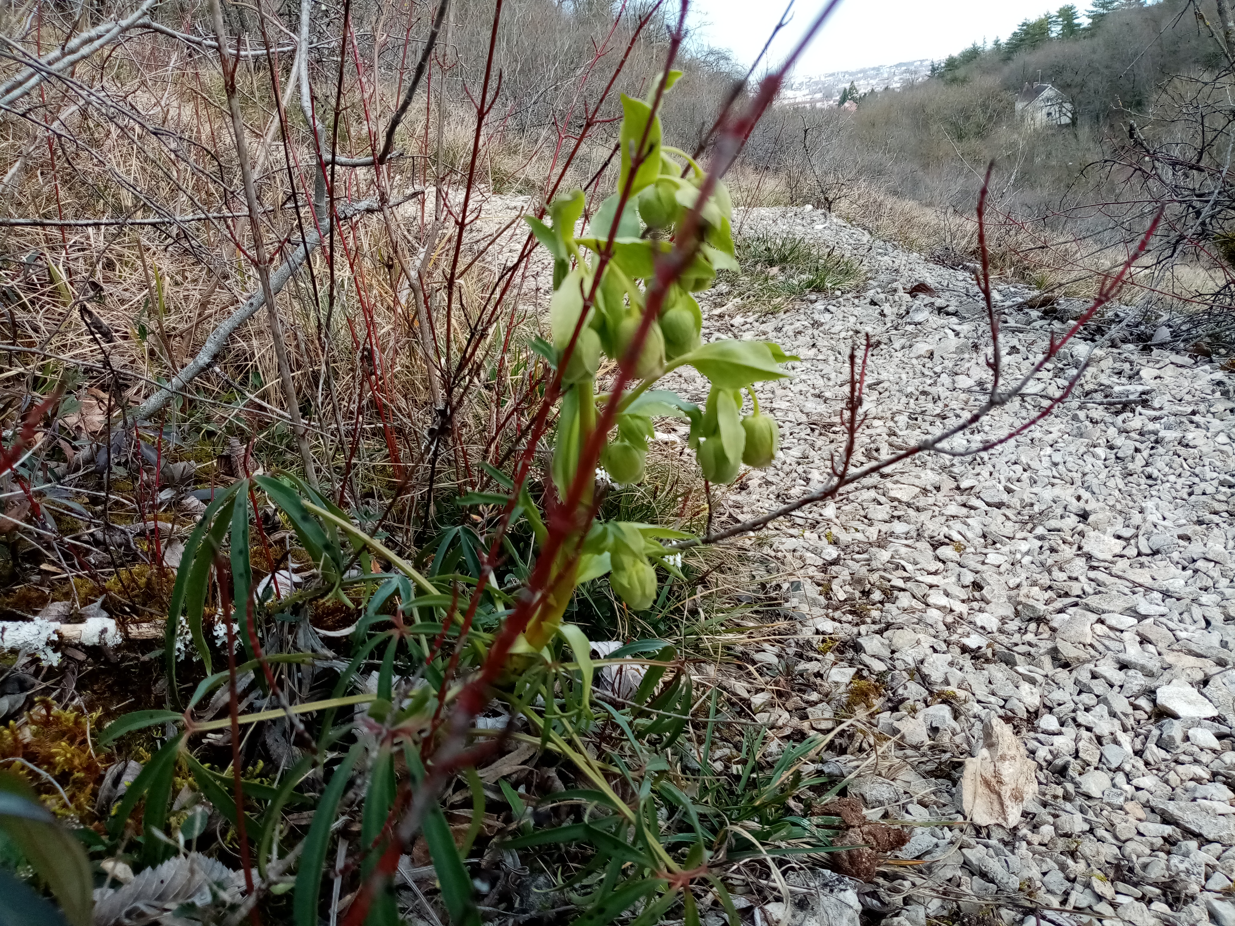 Photo n° 9 de l'avis de fanyse.M fait le 10/03/2020 à 21:18