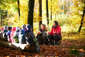 Waldspielgruppe Waldzwerge - Dättwil