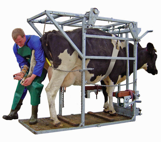 Reviews of Veehof Dairy Services in Ashburton - Shop