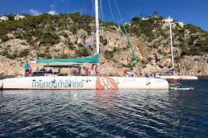 Catamarán Mundo Marino Altea | Excursiones en barco Altea image