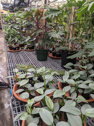 Hardware Store «Proctor Ace Hardware», reviews and photos, 1281 Atlantic Blvd, Neptune Beach, FL 32266, USA