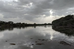 Doddarayapete Lake image