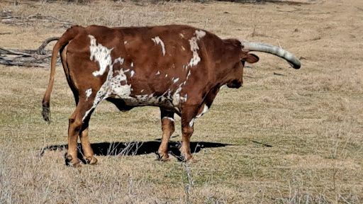 Zoo «Caldwell Zoo», reviews and photos, 2203 W Martin Luther King Jr Blvd, Tyler, TX 75702, USA