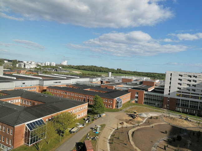 Aarhus Universitetshospital - Sygehus