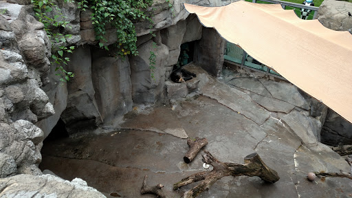 Zoo «Durhams Bear Canyon», reviews and photos, 3701 S 10th St, Omaha, NE 68107, USA