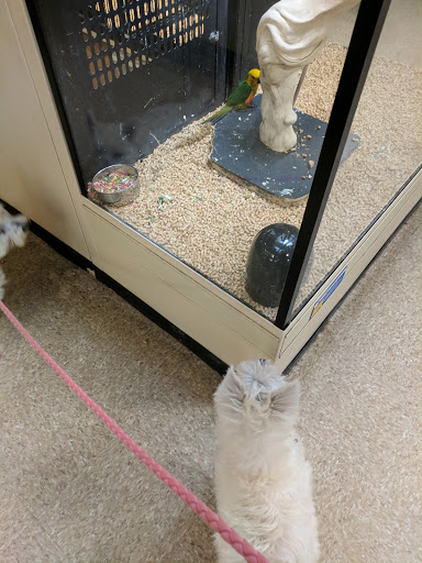 Pet Supply Store «PetSmart», reviews and photos, 351 N Frontage Rd, New London, CT 06320, USA