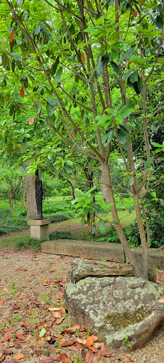 Art Gallery «Valley House Gallery Inc», reviews and photos, 6616 Spring Valley Rd, Dallas, TX 75254, USA