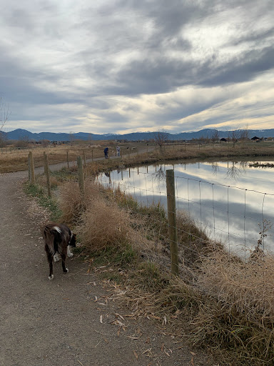 Animal Park «Dog Park At Gallatin County Regional Park (13 Acre w Pond)», reviews and photos, 3900 Baxter Ln, Bozeman, MT 59718, USA