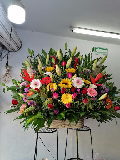 Florería TULIPÁN DORADO – Cuernavaca