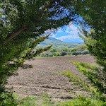 Photo n°3 de l'avis de Davide.a fait le 23/04/2023 à 08:44 sur le  Ristorante Leukanika à Guardia Perticara