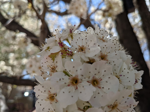 Recreation Center «Historic Arkansas Riverwalk», reviews and photos, 101 S Union Ave, Pueblo, CO 81003, USA
