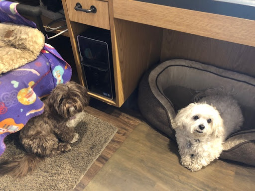 Auto Repair Shop «Douglas Automotive Repair Inc», reviews and photos, 10138 Bode St, Plainfield, IL 60585, USA