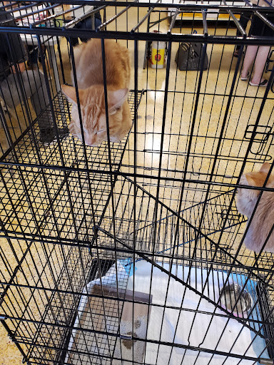 Pet Supply Store «PetSmart», reviews and photos, 1700 Willow Pass Rd, Concord, CA 94520, USA