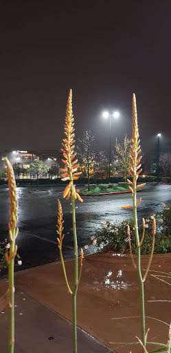 Hair Salon «Shannon Hair», reviews and photos, 25377 Wayne Mills Pl, Santa Clarita, CA 91355, USA