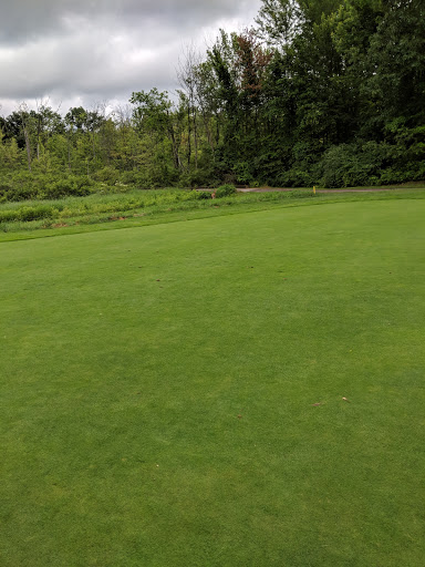 Golf Club «Quail Ridge Golf Club», reviews and photos, 8375 36th St SE, Ada, MI 49301, USA