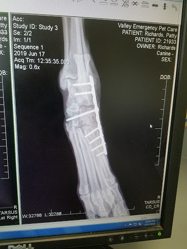 Valley Emergency Pet Care: Ringold Steve DVM image