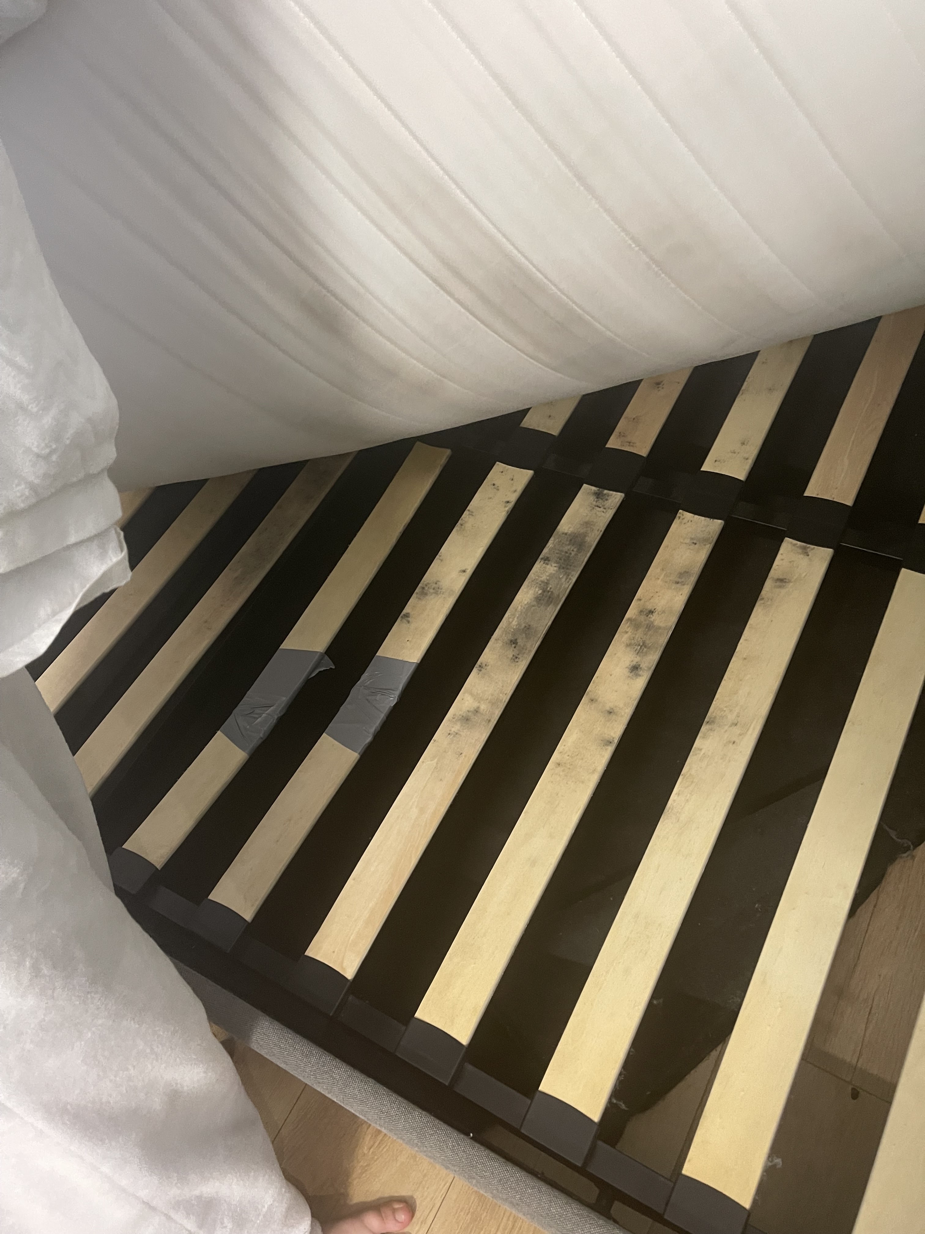 Photo n° 4 de l'avis de S66. fait le 31/01/2024 à 19:36