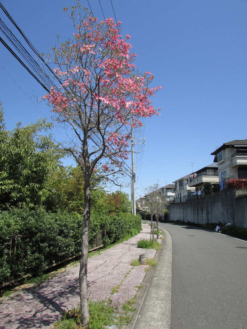 かがり2号公園