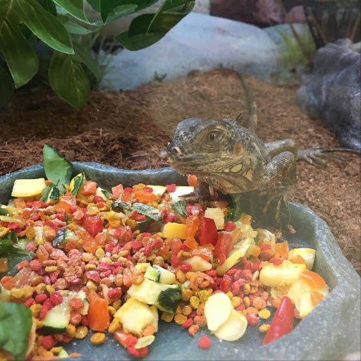 Pet Supply Store «Petco Animal Supplies», reviews and photos, 5260 W Baseline Rd, Laveen Village, AZ 85339, USA