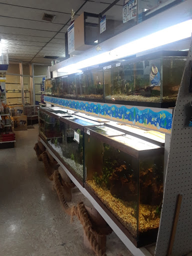 Pet Store «Southside Pet Shop», reviews and photos, 7031 Southside Dr, Louisville, KY 40214, USA