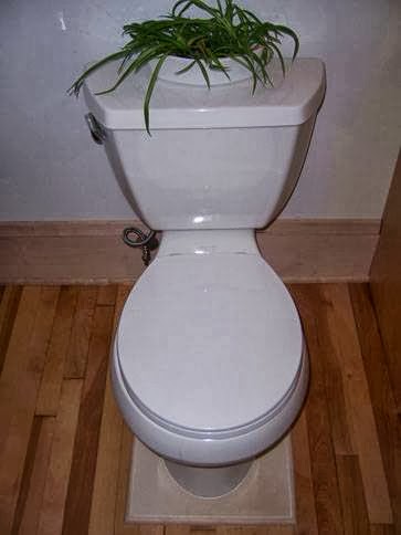 Plumber «Erik Nelson Plumbing LLC», reviews and photos, 2617 37th Ave S, Minneapolis, MN 55406, USA