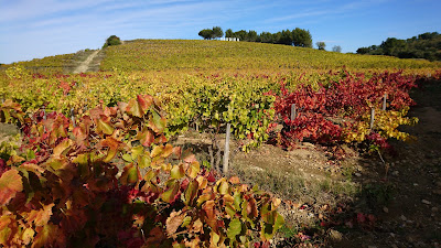 Le Vieux Donjon à Châteauneuf-du-Pape