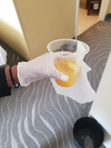 Hotel «Newport News Marriott at City Center», reviews and photos, 740 Town Center Dr, Newport News, VA 23606, USA