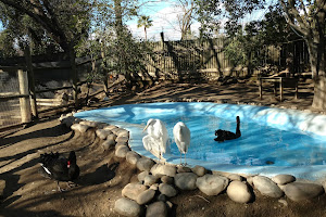 Merced's Applegate Park Zoo