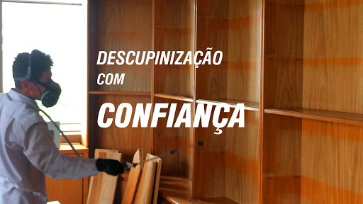 Logo da empresa - Power Up - Controle de pragas