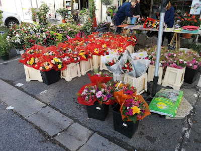 Les Fleurs du Manet à Montigny-le-Bretonneux