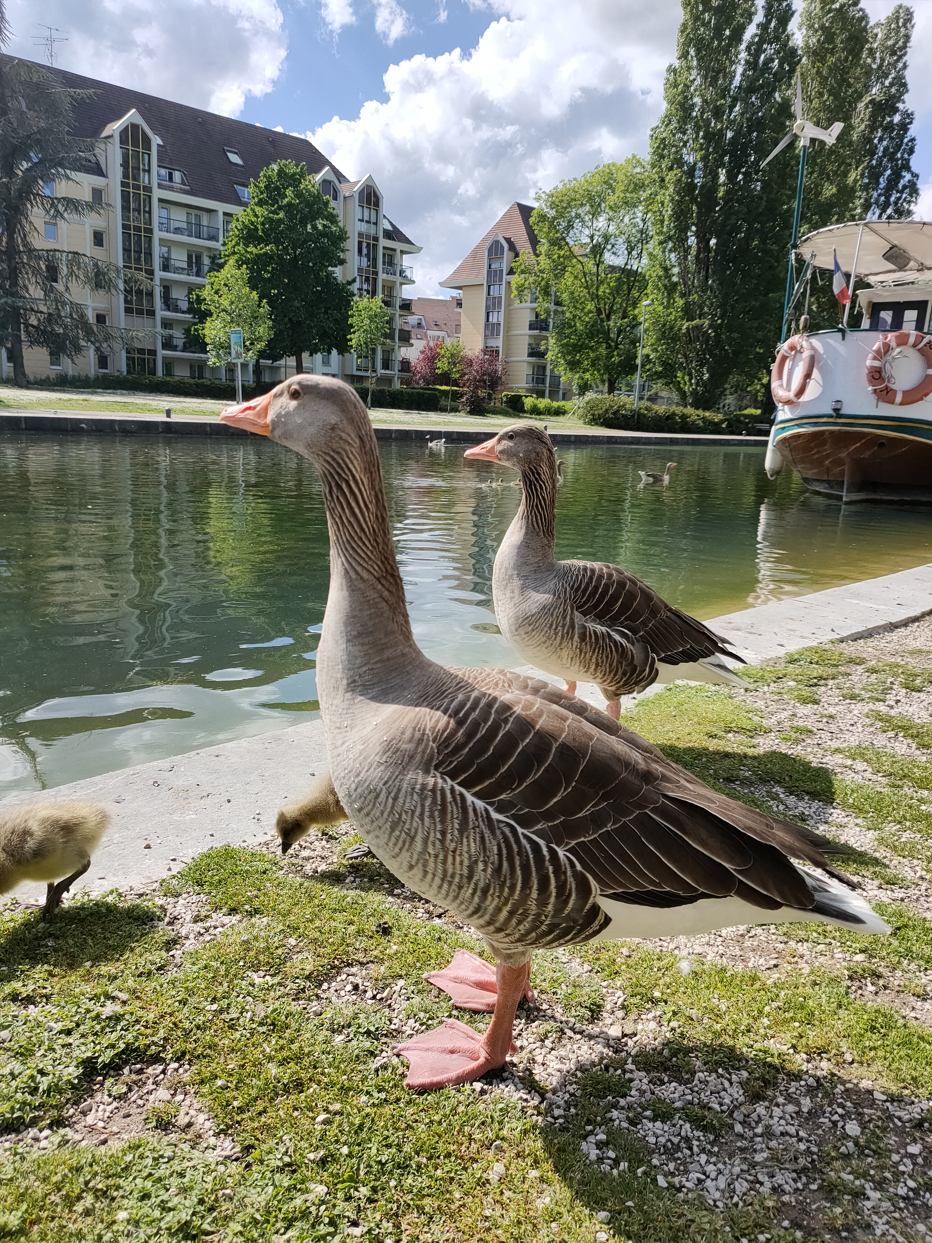 Photo n° 6 de l'avis de Justine. fait le 15/05/2021 à 20:07
