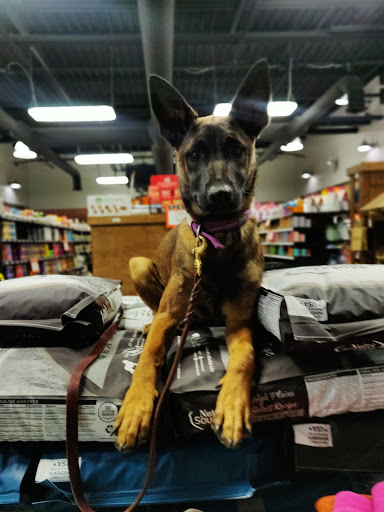 Pet Supply Store «The Animal Park Marketplace», reviews and photos, 744 W Riverdale Rd, Riverdale, UT 84405, USA