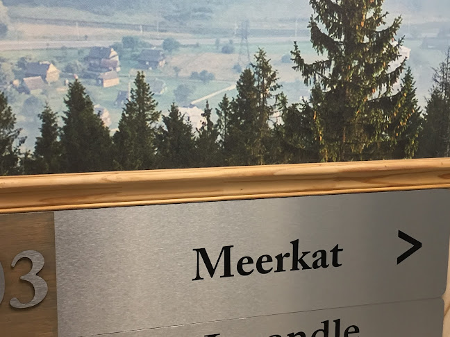 Comentarii opinii despre Meerkat