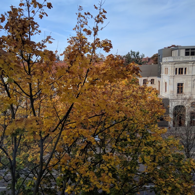 Gebäude 2 - Otto-von-Guericke-Universität