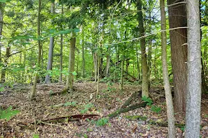 Trenton Greenbelt Hiking Trails image