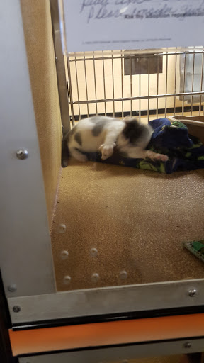 Pet Supply Store «PetSmart», reviews and photos, 5005 S 74th St, Greenfield, WI 53220, USA