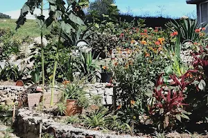 El Jardín de Obdulia image