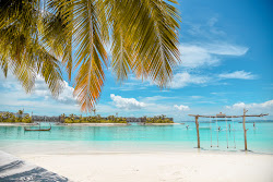 Photo de Sheraton Resort Island zone de l'hôtel