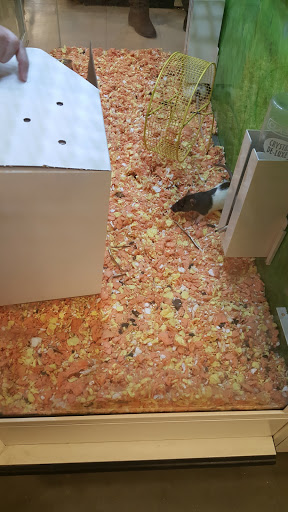 Pet Supply Store «PetSmart», reviews and photos, 1110 Hospitality Dr, Rock Hill, SC 29730, USA