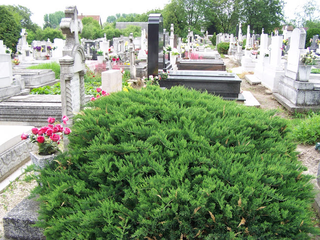 Szent kereszt temető - Jászfényszaru