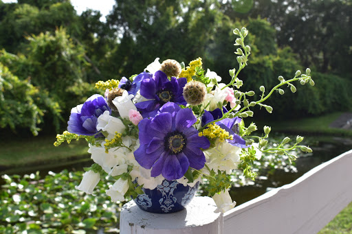 Florist «Black Forest Flowers and Gifts», reviews and photos, 3426 Tampa Rd, Palm Harbor, FL 34684, USA